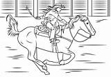 Equine sketch template
