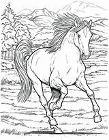 Horse Coloring Pages Detailed Printable Getcolorings sketch template