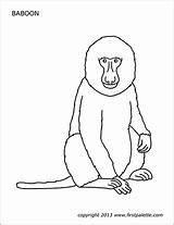 Baboon sketch template
