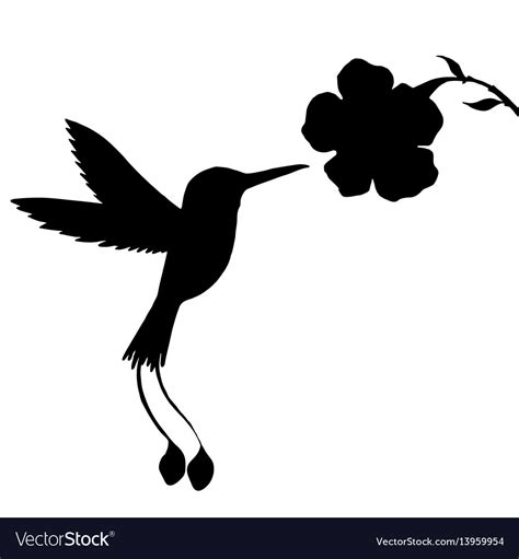 Hummingbird And Flower Silhouettes Royalty Free Vector Image
