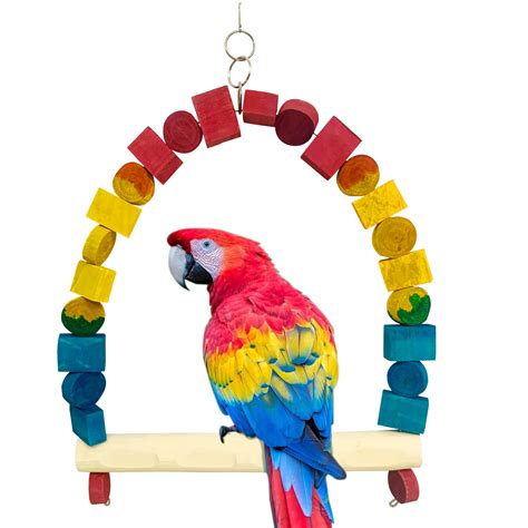 macaw scarlet swing colour parrot dipankar