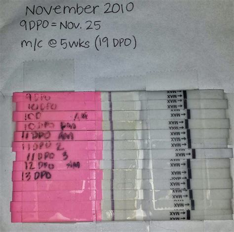 Inside Looking Out 3 Dpo Or 3 Days Post Ovulation And Iui