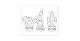 Potted Cacti Cactus sketch template
