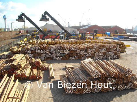 cloeziana fsc palen tegen een scherpe prijs van biezen hout import