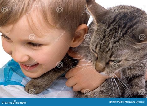 boy  cat stock image image  carries grins smile