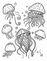 Jellyfish Fish Animal Creatures Disimpan Colorings Dari sketch template