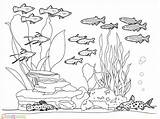 Mewarnai Laut Pemandangan Bawah Sd Floor Reef Menggambar Paud Marimewarnai Terbaru Ikan Dasar Bagus Sketsa Ide Imagixs Ombak Kolam sketch template