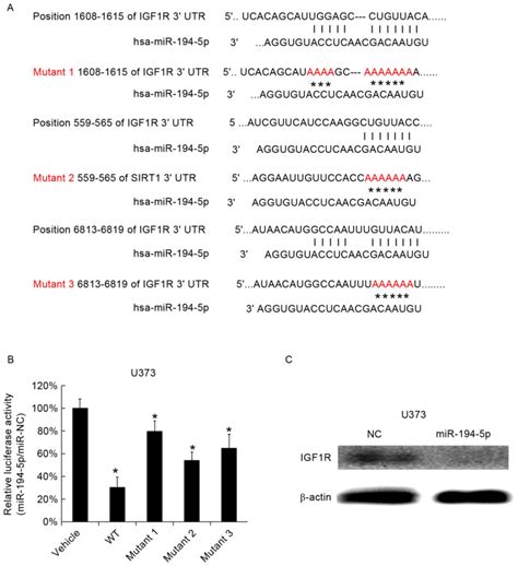 tumor suppressive role of mir 194 5p in glioblastoma multiforme