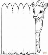 Coloring Goat Fence Cute Pages Billy Through Looks Animal Supercoloring Goats Dot Colouring Printable Popular Farm Drawing sketch template