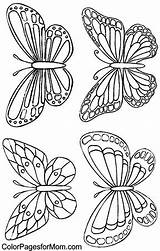 Colorpagesformom Schmetterling sketch template