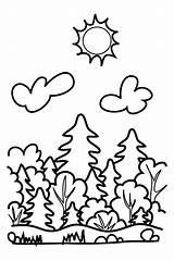 Wald Kostenlos Ausmalbilder Pages Ausmalen Ausdrucken Waldtiere Desene Malvorlagen Im Drucken Ausmalbild Poluare Creion Padure Forestry Berge Colorat Damy Ro sketch template
