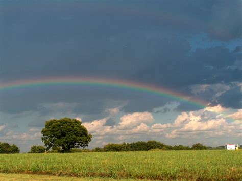 rainbow high in the sky