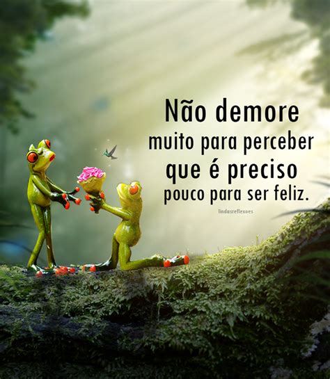 preciso pouco  ser feliz  bau de citacoes