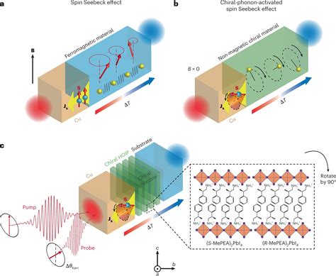 chiral phonons create spin current  needing magnetic materials