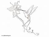 Hummingbird Pages Flowers Coloirng Printable Kids Coloring Adults Print sketch template
