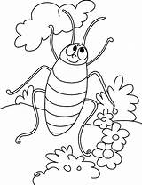 Coloring Cockroach Pages Cartoon Kids Printable Bestcoloringpagesforkids sketch template