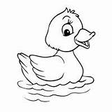 Template Duck Coloring Ducks Animal Little Pages Templates Five Printable Kids Print Easy Farm Drawing Cartoon Colouring Animals Cute Baby sketch template