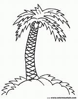 Palm Tree Coloring Pages Trees Coconut Drawing Branch Line Printable Print Simple Clipart Draw Jungle Leaves Pencil Color Drawings Sheet sketch template