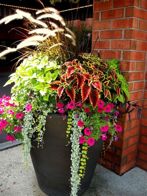 incredible indoor plants arrangement ideas basic idea home decorating