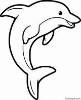 Dolphin Coloringall sketch template