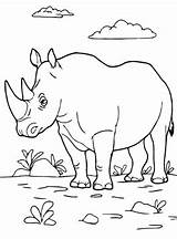 Nashorn Neushoorn Rhinoceros Kleurplaten Malvorlage sketch template