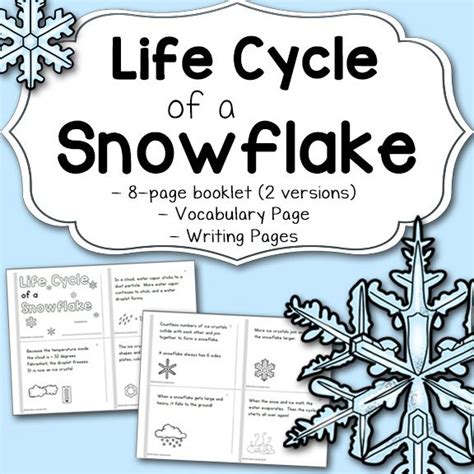 life cycle   snowflake booklet
