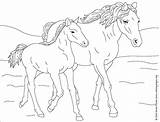 Wild Coloring Pages Horses Mustang Horse Getcolorings sketch template