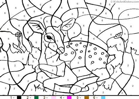 animal color  number coloring pages kleuren pinterest number