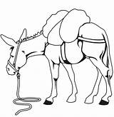 Mule Coloring Pages Results sketch template