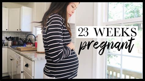 23 week pregnancy update cravings gender bump youtube