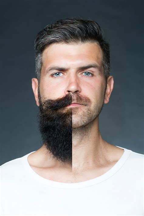 The Beards Growing A Beard