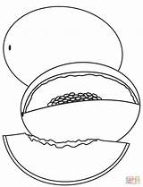 Melon Coloring Pages Cantaloupe Section Cross Its Melons Drawing sketch template