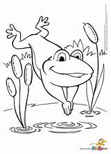 Coloring Frog Jumping Pages May Jump Drawing Getdrawings Color Getcolorings Thanksgiving Turkey sketch template