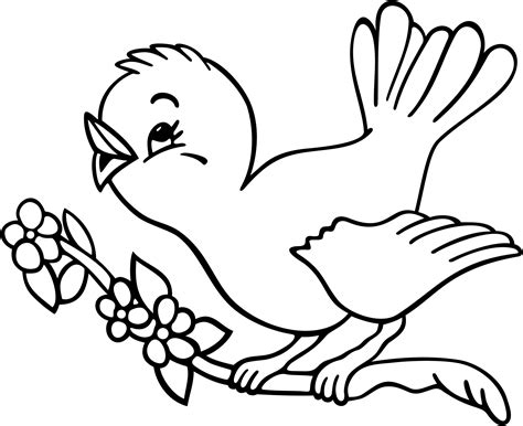 bird coloring pages    print