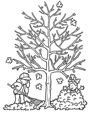 coloring pages  autumn trees coloring pages