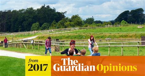 the power of the picnic bench gardens the guardian