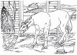 Coloring Horse Barn Pages Country Living Cat Cavalo Book sketch template