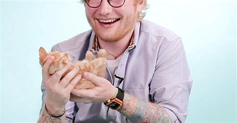 15 things ed sheeran revealed while playing with kittens and answering