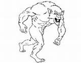 Coloring Werewolf Werewolves Coloringcrew Pages sketch template