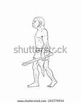 Homo Habilis Sapiens Neanderthal Erectus Australopithecus sketch template