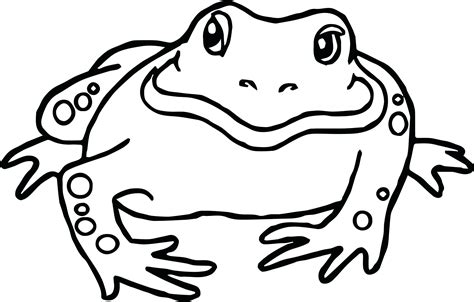 amphibian drawing  getdrawings