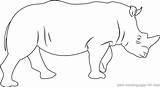 Rhino Coloring Pages Rhinoceros Coloringpages101 Kids Mammals sketch template