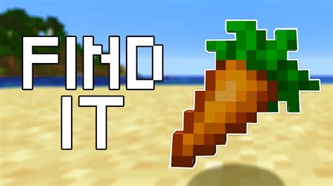 find carrots  minecraft  versions youtube