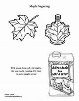 Syrup Sugaring sketch template