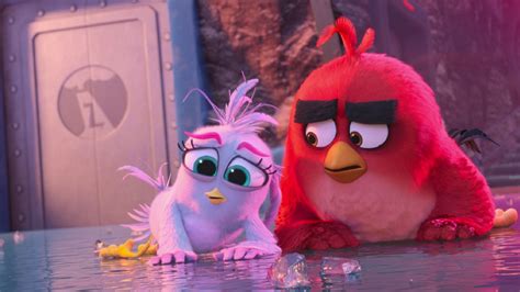 Prime Video The Angry Birds Movie 2