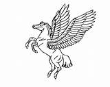 Pegasus Chevaux Volants Unicornio Pge Voladores Caballos sketch template