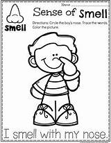 Smell Senses Five Preescolar Preschoolers Sentidos Ingles Playtime Planning Planningplaytime Colorear Smelling Absurdos sketch template
