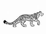 Jaguar Drawing Outline Animal Tattoo Hybrid Simple Deviantart Wolfs Drawings Draw 49ers Tatuaje Sweet Body Long Tattoos Getdrawings Leopard Native sketch template
