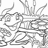 Frog Coloring Flowers Surfnetkids Pages sketch template
