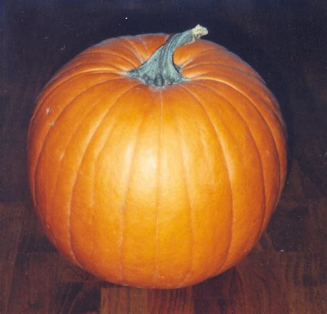 layla anwars kitchen  underrated pumpkin